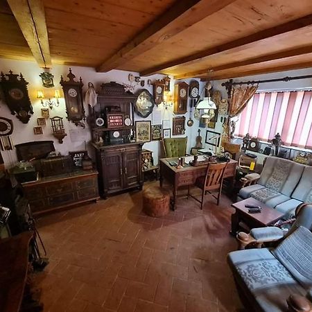 Pensiunea Otilia Segesvár Kültér fotó