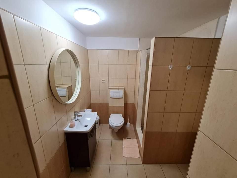 Pensiunea Otilia Segesvár Kültér fotó
